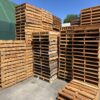 Wood Pallet